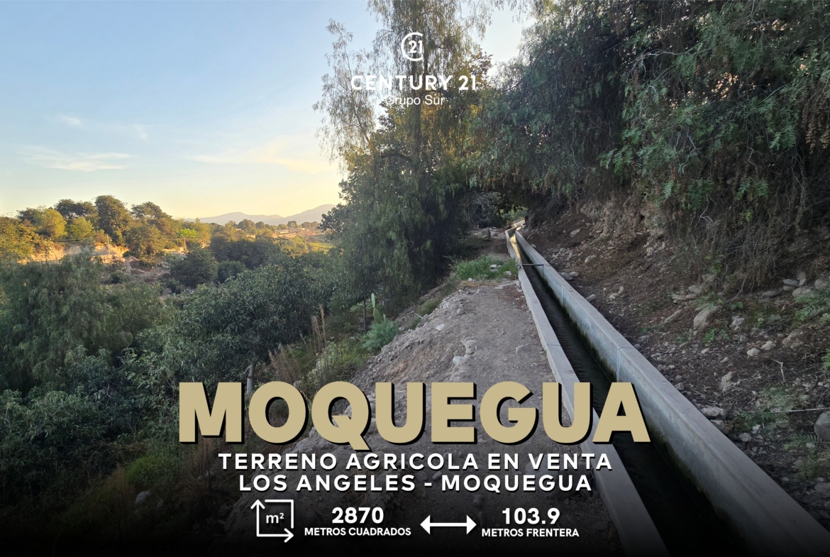 Terreno Agrícola en la ciudad de Moquegua