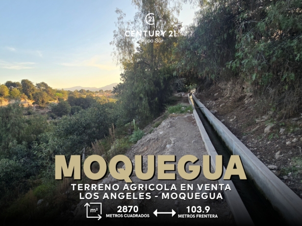Terreno Agrícola en la ciudad de Moquegua