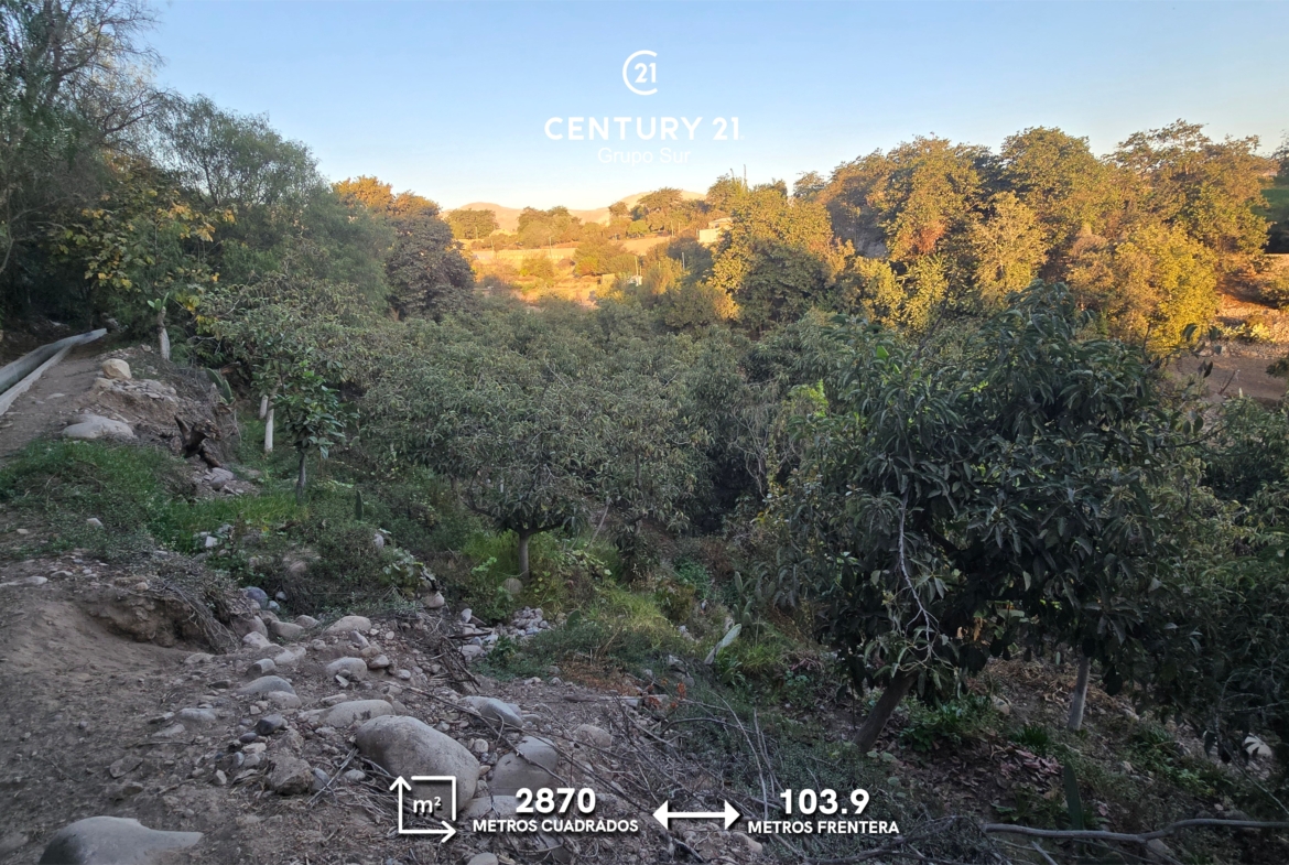 Terreno Agrícola en la ciudad de Moquegua