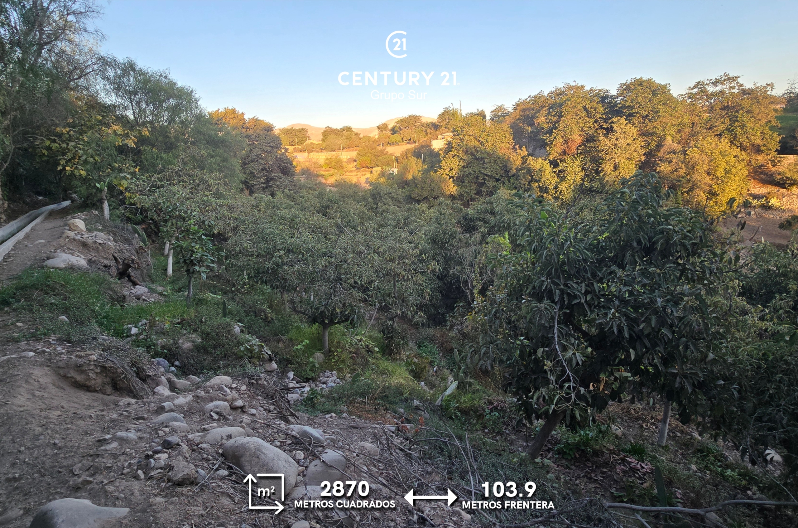 Terreno Agrícola en la ciudad de Moquegua