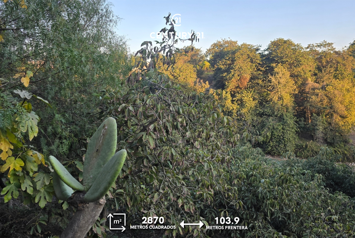 Terreno Agrícola en la ciudad de Moquegua